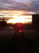 Staddle stone in sunset