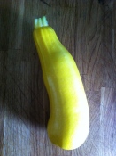 Giant courgette